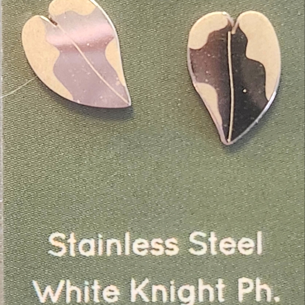 Stainless steel earrings